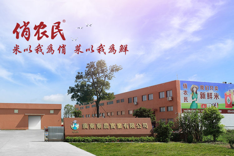 大图2