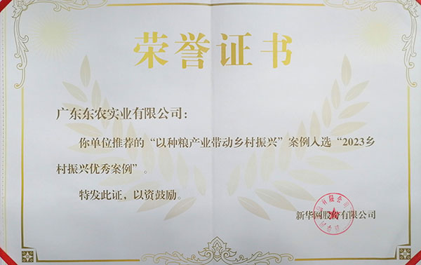 2023乡村振兴优秀案例荣誉证书