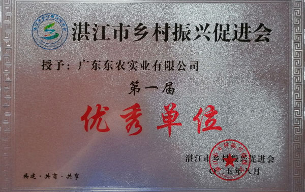 湛江市乡村振兴促进会优秀单位